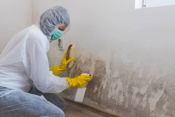 Best Real Estate Mold Inspection  in Marengo, IA