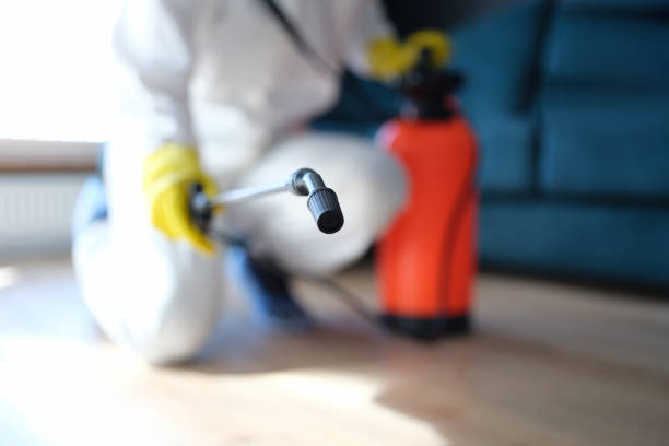 Mold Remediation for Vacation Homes in Marengo, IA