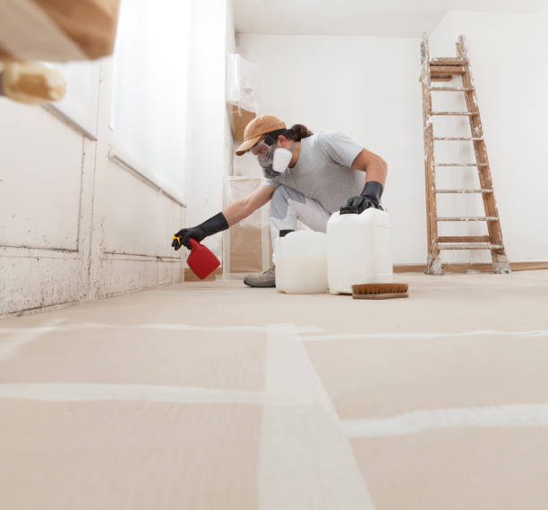 Best Mold Removal for HVAC Installations  in Marengo, IA