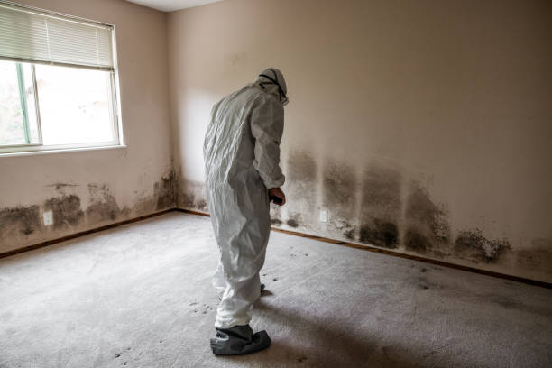 Forensic Mold Investigation in Marengo, IA